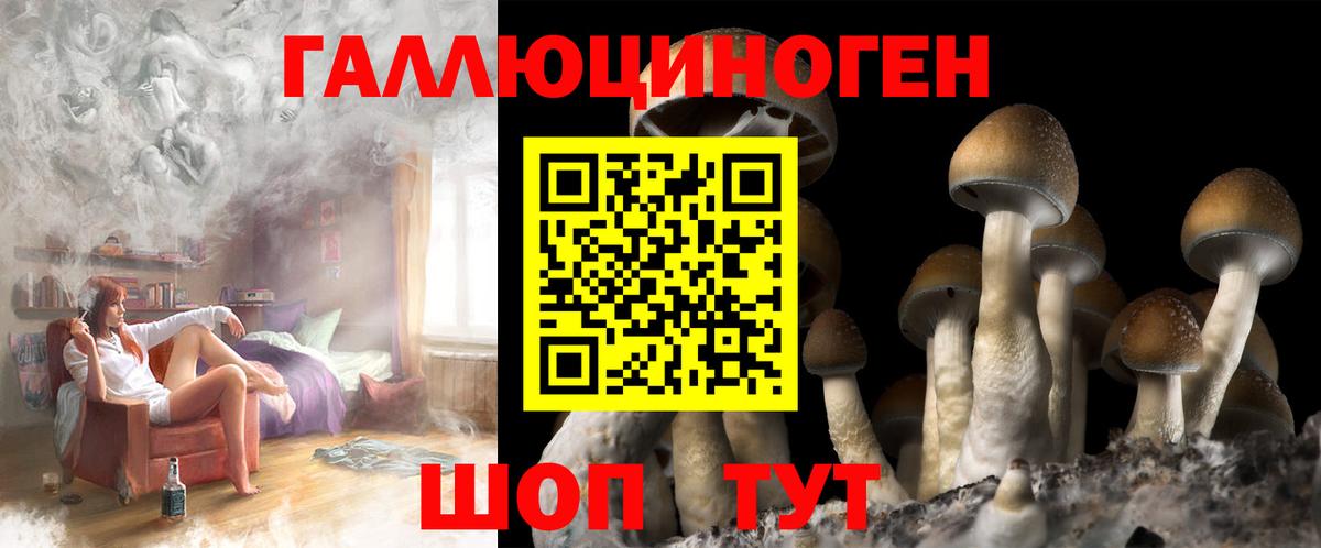 как найти наркотики  Вход с VPN  Псилоцибиновые грибы GOLDEN TEACHER  Гулькевичи  Псилоцибиновые грибы мицелий 