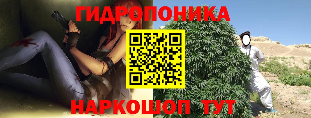МАРИХУАНА семена Гулькевичи